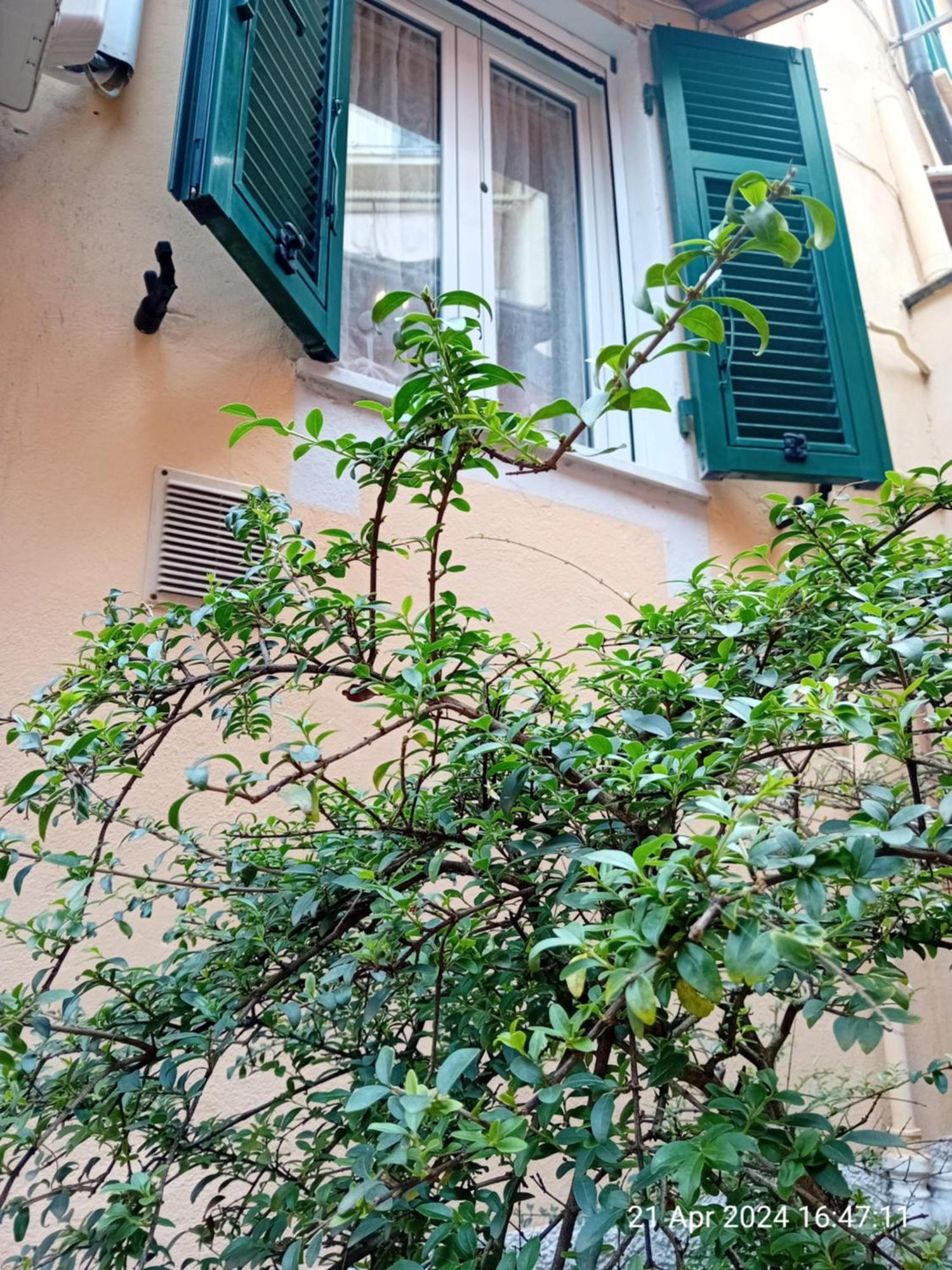 Appartamento Il Vicolo La Spezia Cinque Terre Bagian luar foto
