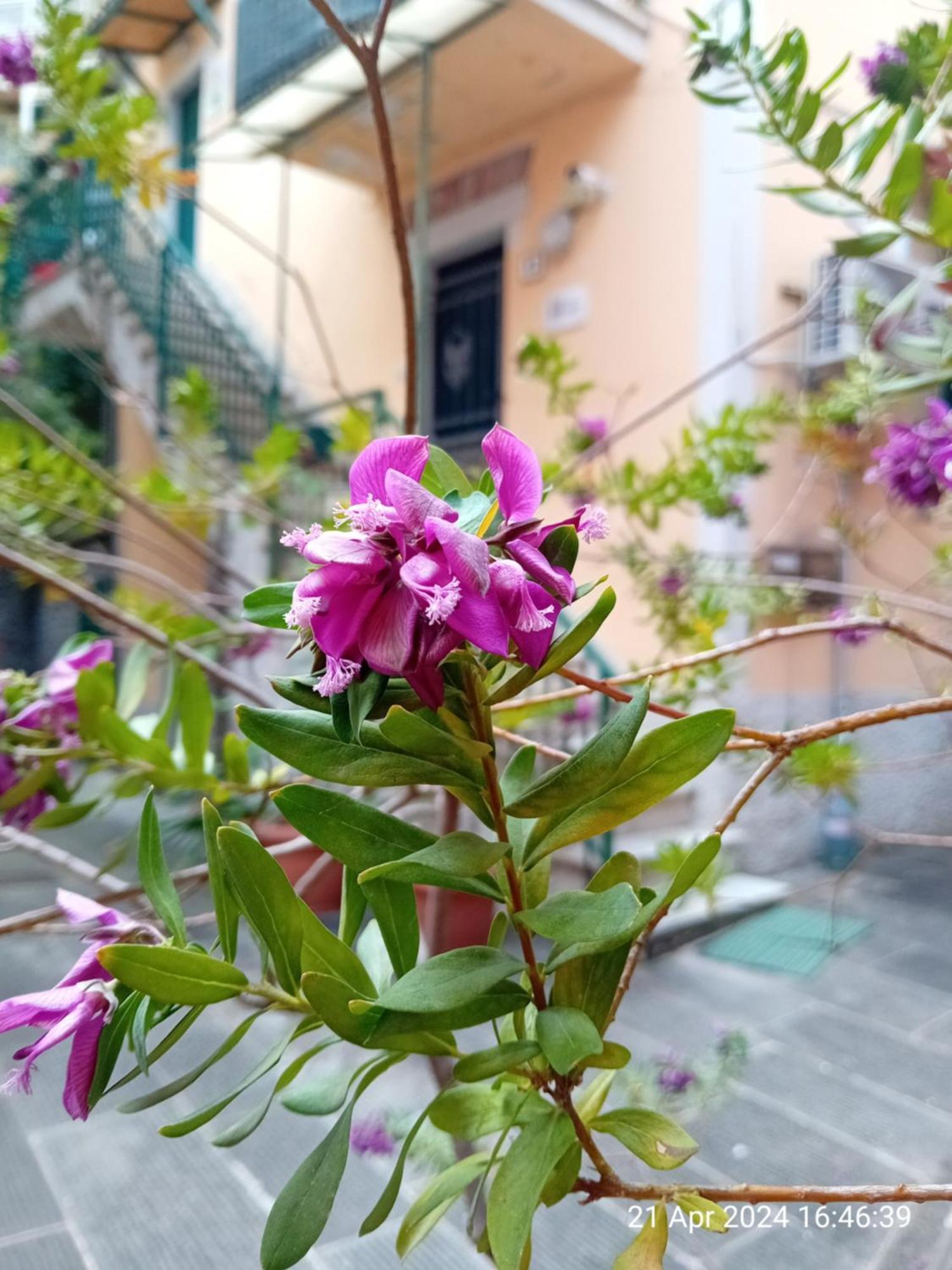 Appartamento Il Vicolo La Spezia Cinque Terre Bagian luar foto