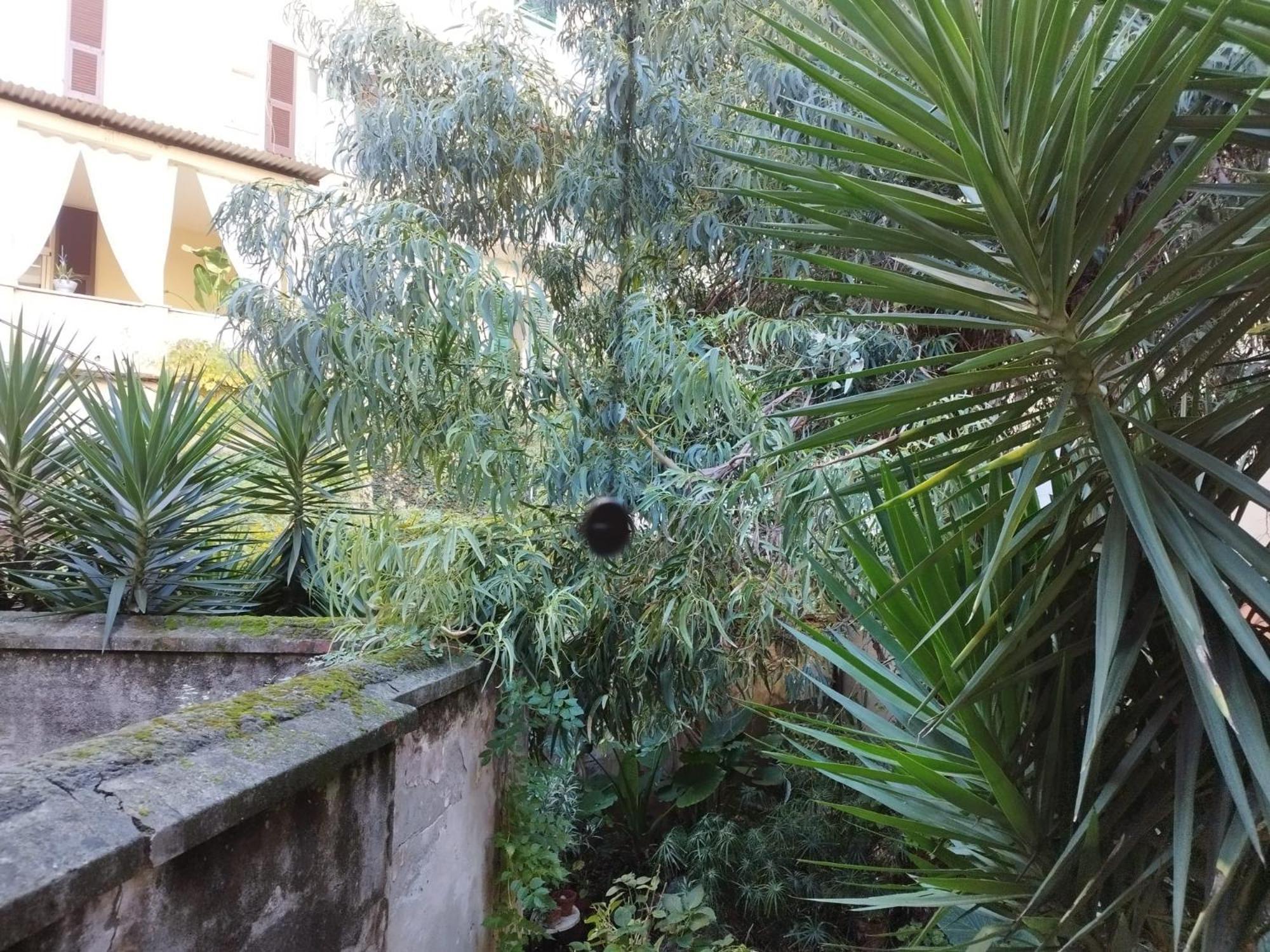 Appartamento Il Vicolo La Spezia Cinque Terre Bagian luar foto